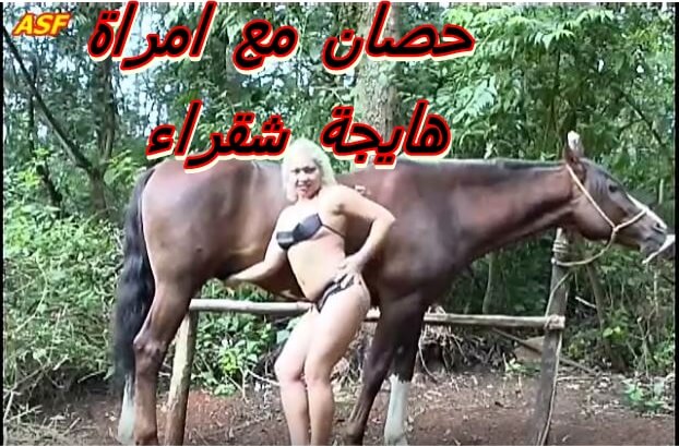حصان مع امراة هايجة شقراء جميلة فعلا في الحظيرة تقلع ملابسها تمسك زب الحصان